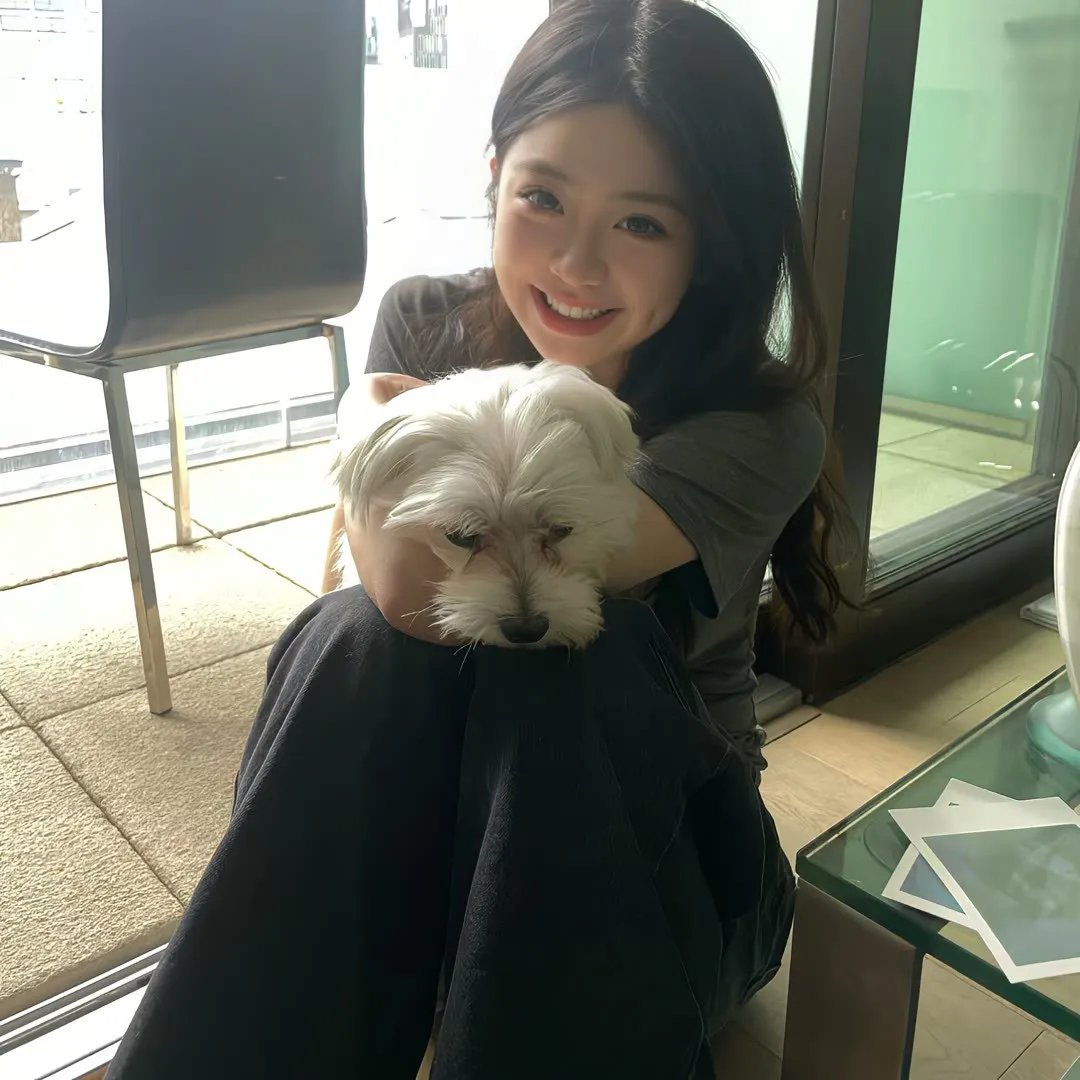 魔法师的猫